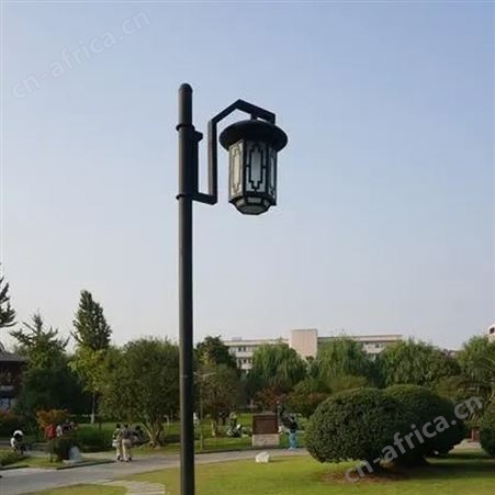 景观灯 广场园林 市政景观路灯 大型广场灯玉兰灯 