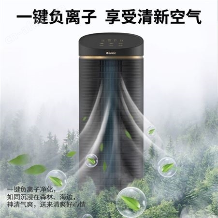 格力空调扇制冷6升家用冷风机塔式冷风扇移动风扇水空调塔扇