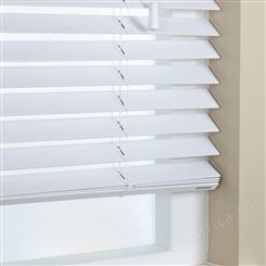 Timber white 1