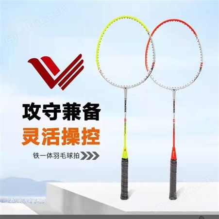 加厚拍包批发羽毛球拍铁合金2支装成人***比赛训练拍套装初学者
