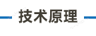 画板 5.png