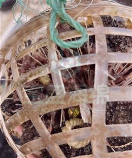 聚氨酯海绵微生物载体填料哪家好