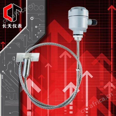 阻旋料位开关(缆式)