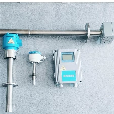 TKFX-ZOA/F直插式氧化锆氧分析仪