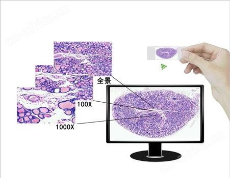 数字切片系统OPTPro-WSI